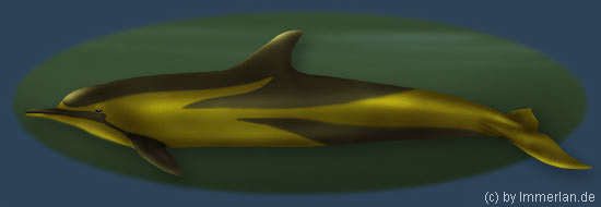 Tucuxi oder Flussfarlir