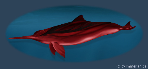 Sokad&oacute;rasfarlir