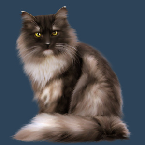 Immerfroster Waldkatze