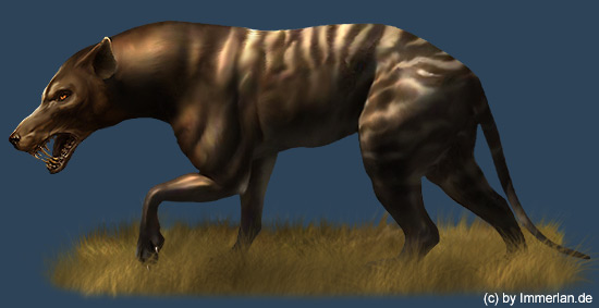 Hyaenodon