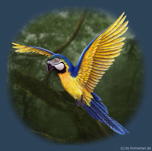 Ararauna