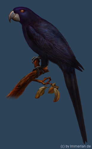 Indigopararua