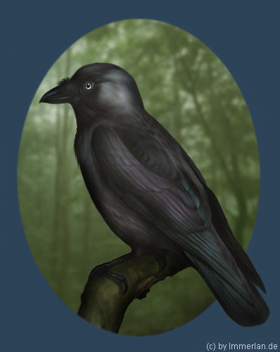 Wisperkr&auml;he