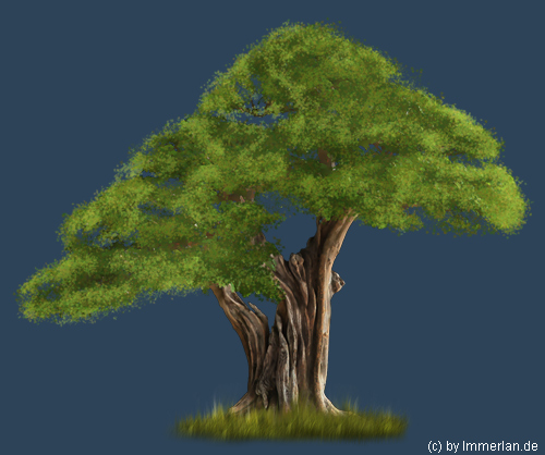 Karambole oder Gurkenbaum