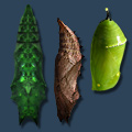(c) by Immerlan.de