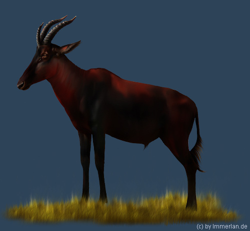 Halbmondantilope