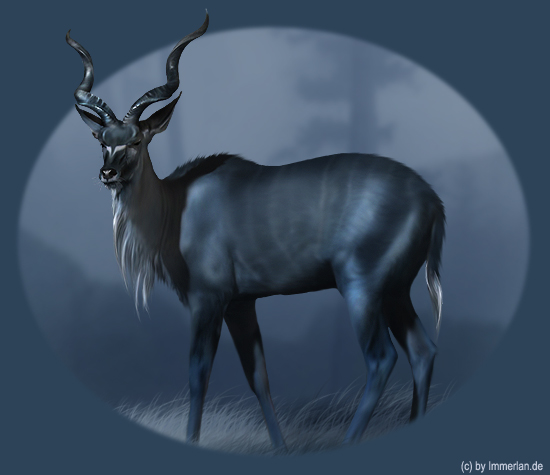 Indigogazelle