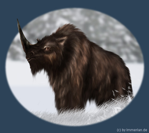 Hyrningur