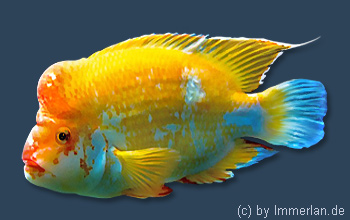 Shaermirl&acirc;stan