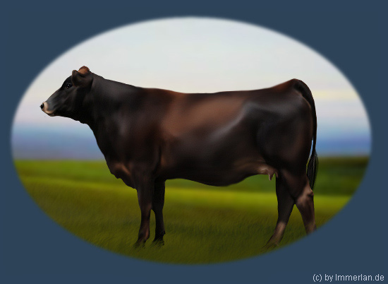 Blurraenter Braunvieh