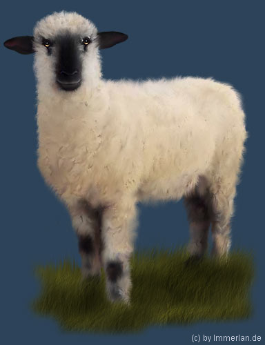Waldschaf