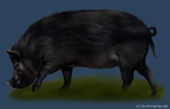 Verdschwein