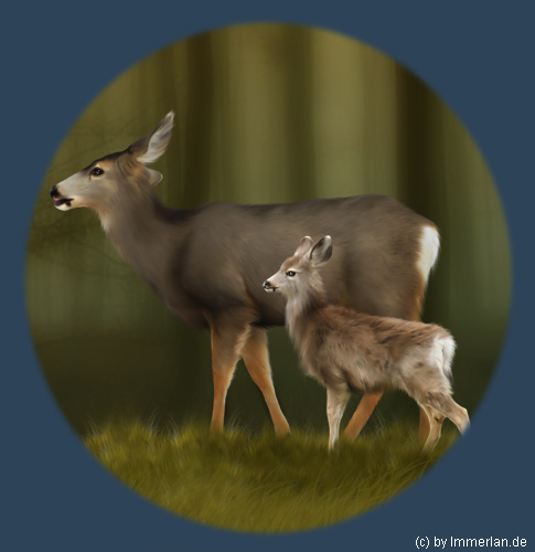 Maultierhirsch