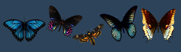 (c) by Immerlan.de