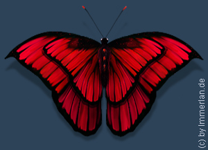 Avianarnindis