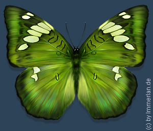 Chearivo