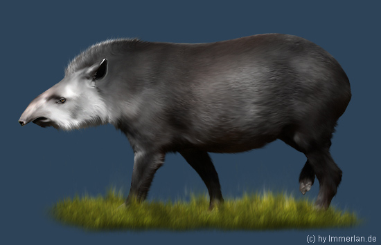Nebeltapir