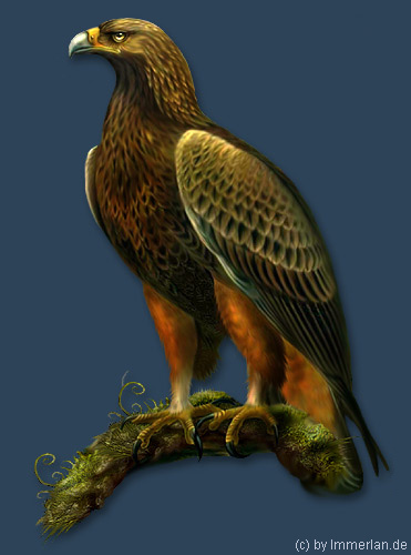Königsadler