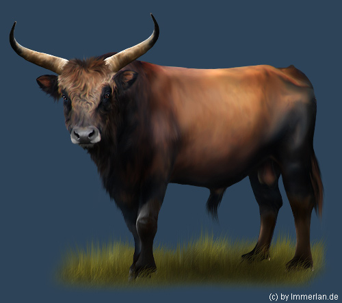 Aurok