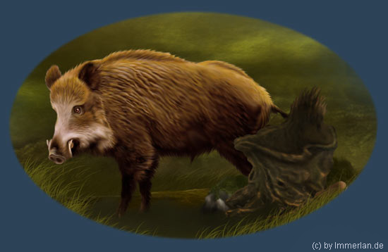 Wildschwein