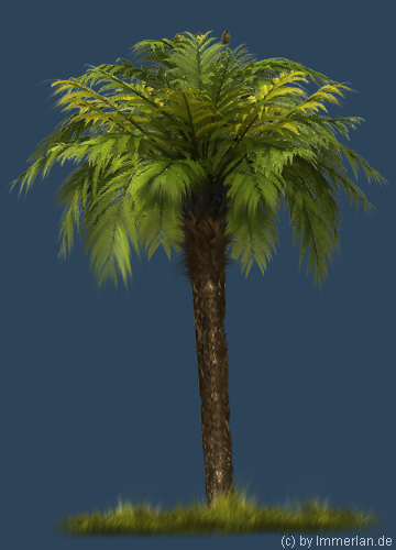 Gro&szlig;er Baumfarn