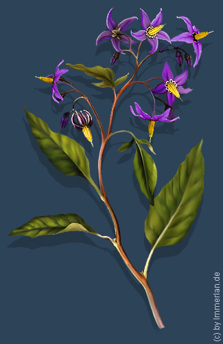 Bitters&uuml;&szlig;