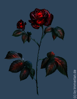 Glasrose
