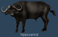 Njassarind