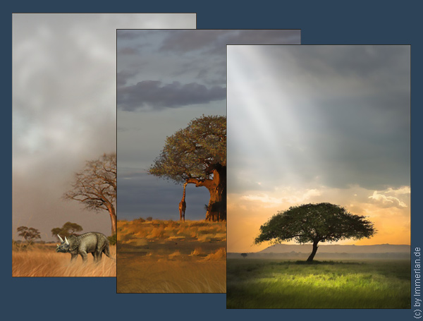 Impressionen der Dahar- und Arushasavannen