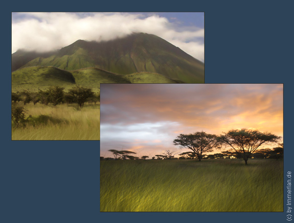 Arusha und Daharsavannen